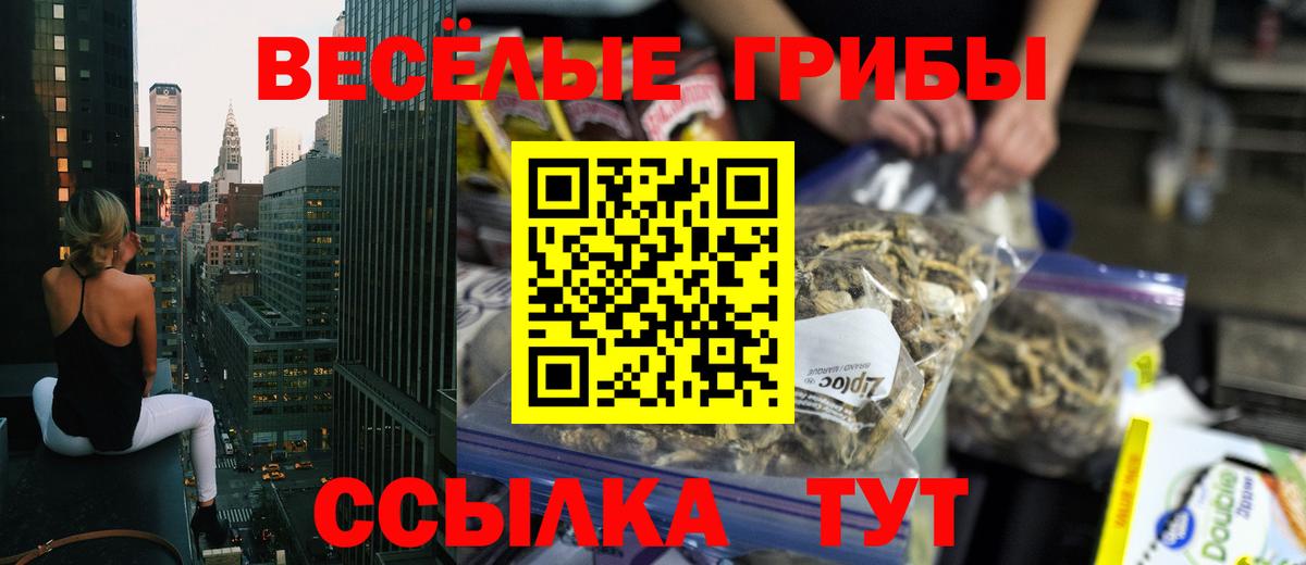 Саров  Псилоцибиновые грибы Psilocybe  Псилоцибиновые грибы ЛСД  Вход с VPN 