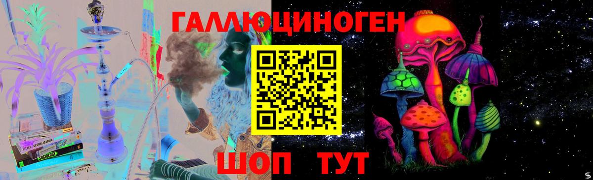 Псилоцибиновые грибы Psilocybe Саров